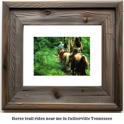 horse trail rides near me in Collierville, Tennessee